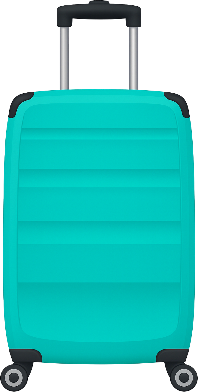 Large Suitcase